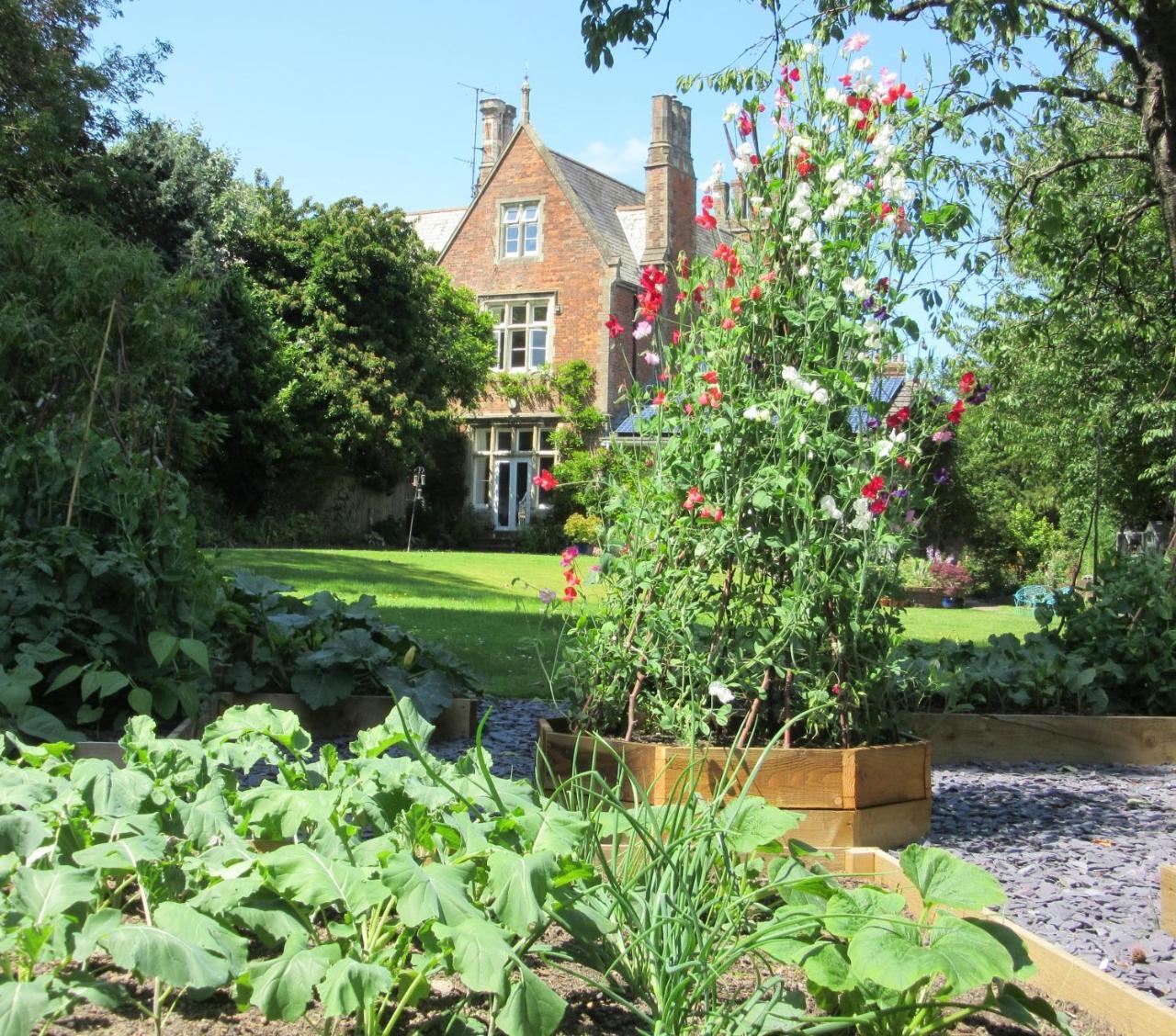 The Old Vicarage B & B บาร์นสเตเปิล ภายนอก รูปภาพ